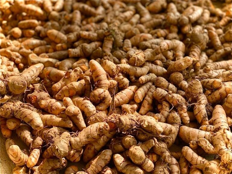 87208732_10159338990134115_1180961250138390528_n