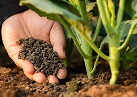 51b3j-E5M+L._AC_UF1000,1000_QL80_