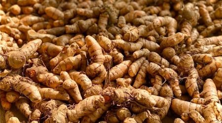 87208732_10159338990134115_1180961250138390528_n