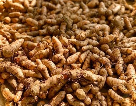 87208732_10159338990134115_1180961250138390528_n