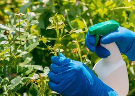 biopesticides-insecticides