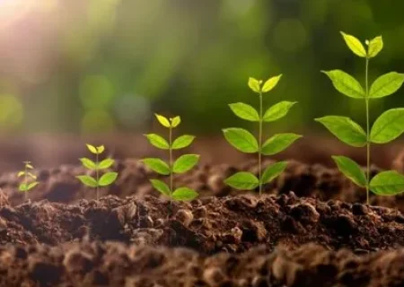 organic-farming-plant-growth-promoter-500x500